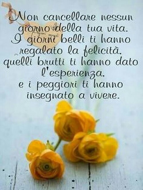 "Non cancellare nessun giorno della tua vita. I giorni belli ti hanno regalato la felicità, quelli brutti ti hanno dato l'esperienza e i peggiori ti hanno insegnato a vivere."