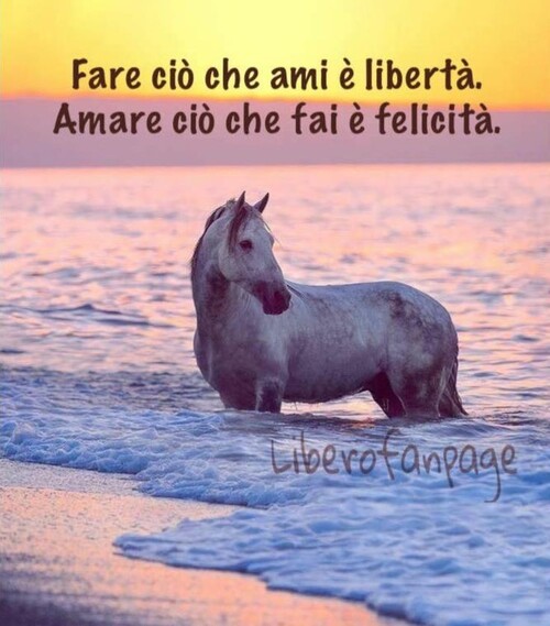 "Fare ciò che ami è libertà. Amare ciò che fai è felicità."