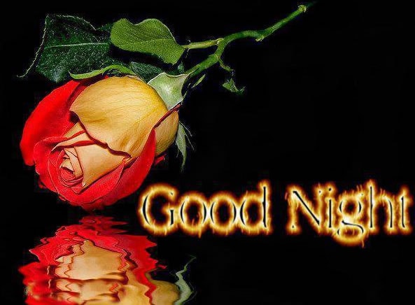 "Good Night"