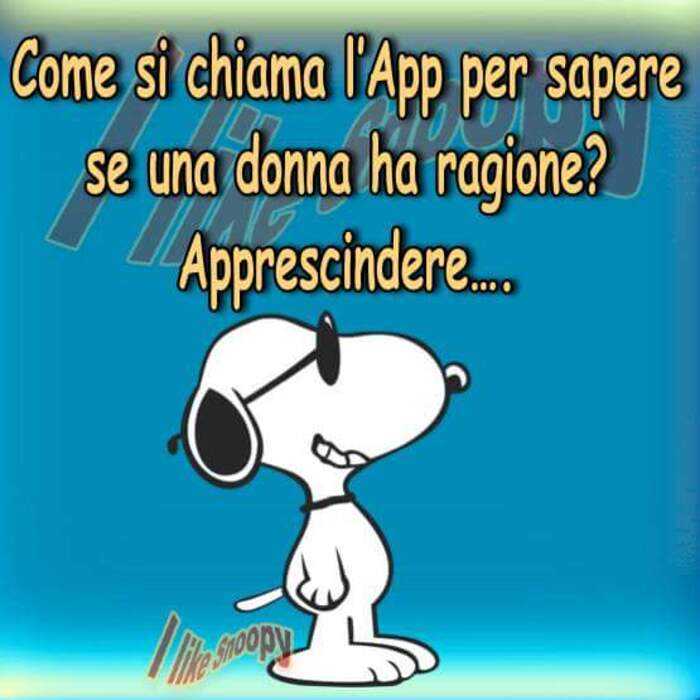 "Come si chiama l'App per sapere se una donna ha ragione? Apprescindere..." - vignette Snoopy