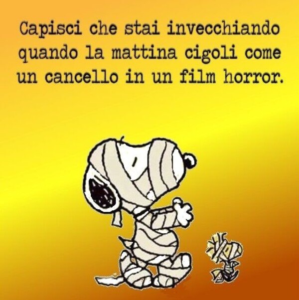 "Capisci che stai invecchiando quando la mattina cigoli come un cancello in un film horror." - Frasi Snoopy divertenti