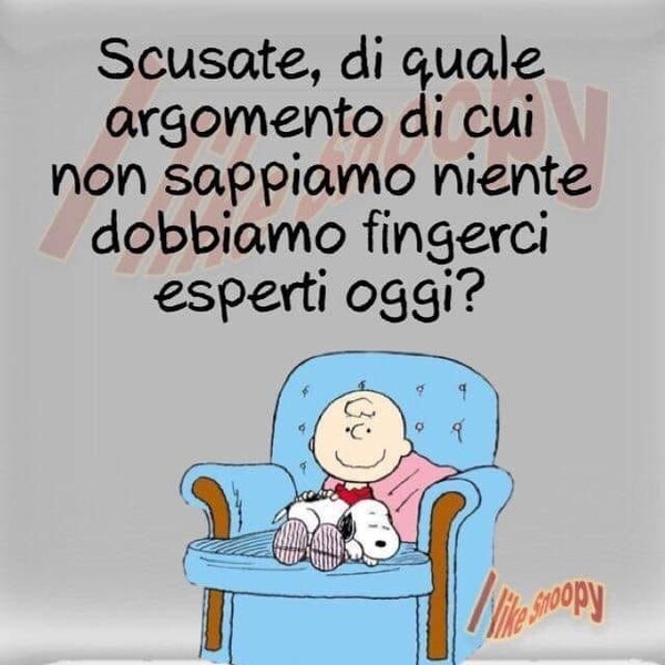 "Scusate, di quale argomento di cui non sappiamo niente dobbiamo fingerci esperti oggi?"