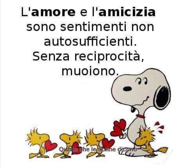 "L'amore e l'amicizia sono sentimenti non autosufficienti. Senza reciprocità, muoiono."