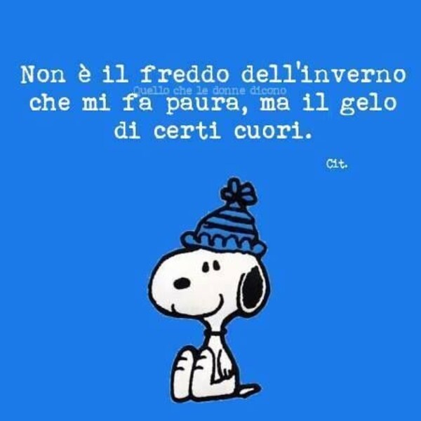 Snoopy - "Non è il freddo dell'inverno che mi fa paura, ma il gelo di certi cuori."