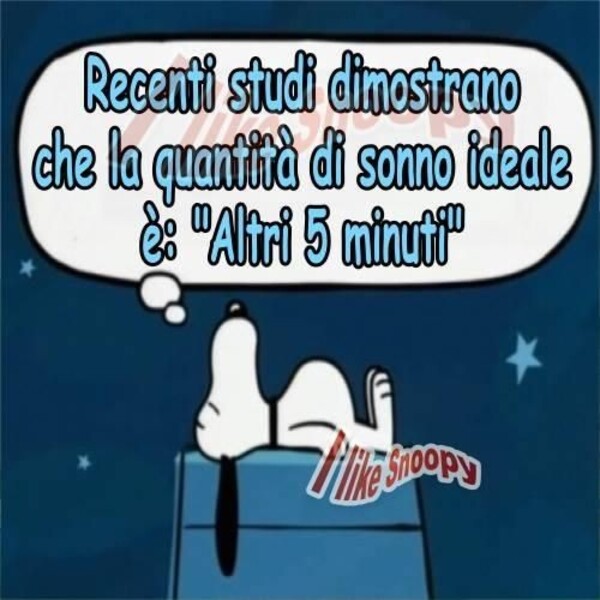 I Like Snoopy - "Recenti studi dimostrano che la quantità di sonno ideale è 'altri 5 minuti' "