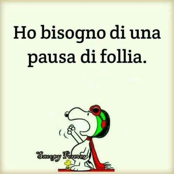 "Ho bisogno di una pausa di follia." - vignette con Snoopy