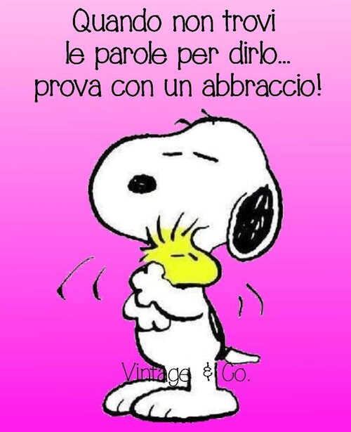 "Quando non trovi le parole per dirlo... prova con un abbraccio!" - Snoopy