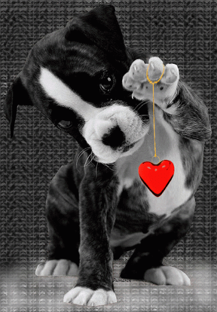 Animali teneri GIF - Un cagnolino che ti manda un cuore