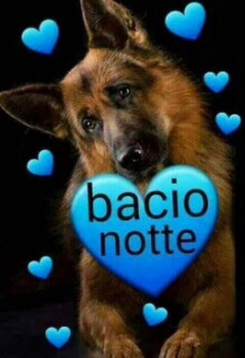 "Bacio Notte" - immagini tenere