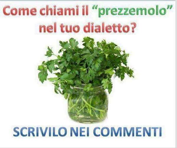 "Come chiami il prezzemolo nel tuo dialetto? SCRIVILO NEI COMMENTI"