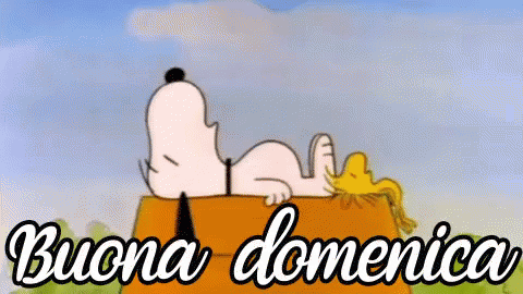 Buona Giornata e Buona Domenica Snoopy