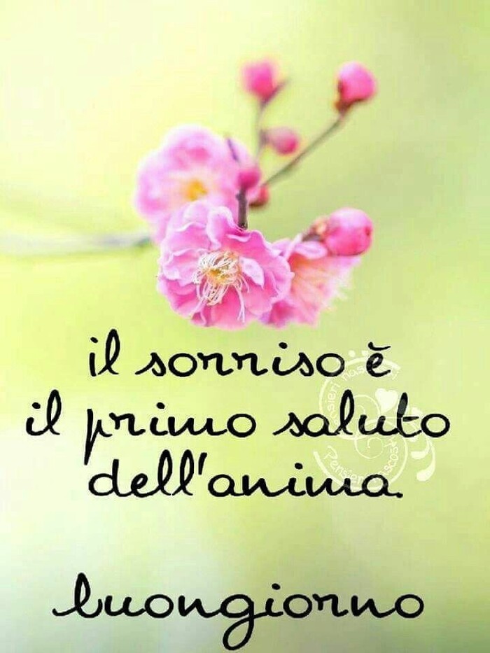 Buongiorno primavera - "Il saluto è il primo sorriso dell'anima."