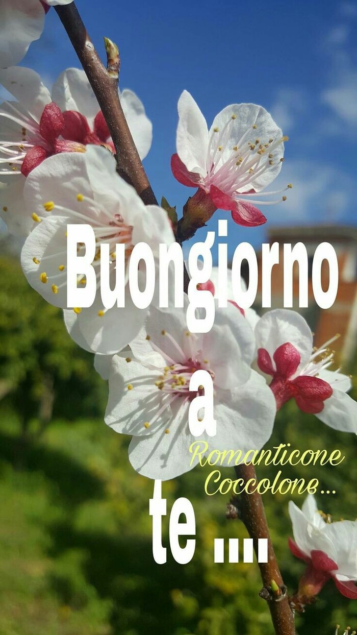 "A Te... Buongiorno"