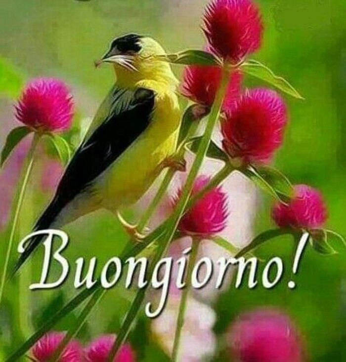 "Buongiorno!" - immagini bellissime per Whatsapp