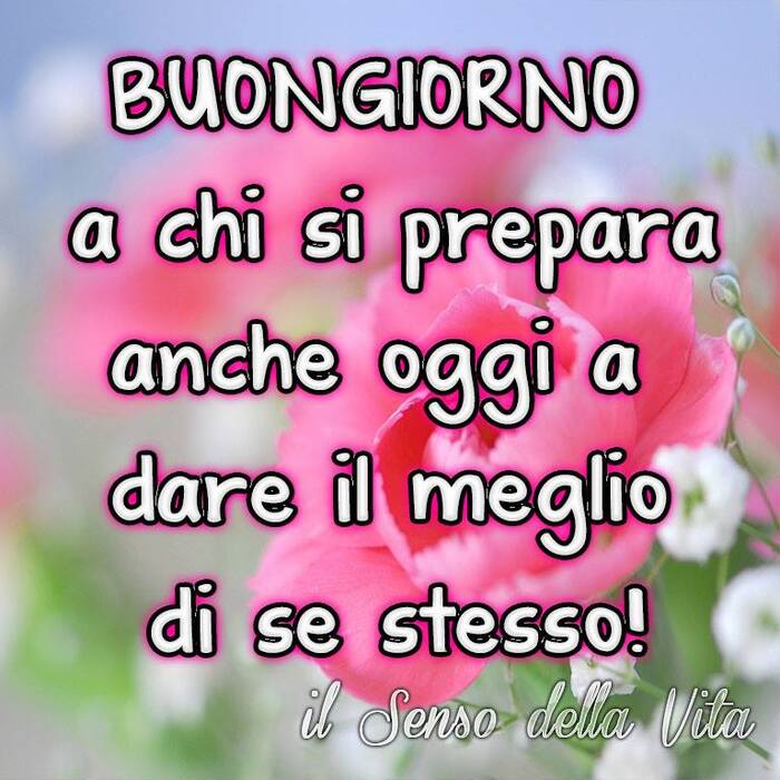 Buongiorno primavera - "Buongiorno a chi si prepara anche oggi a dare il meglio di sè stesso"