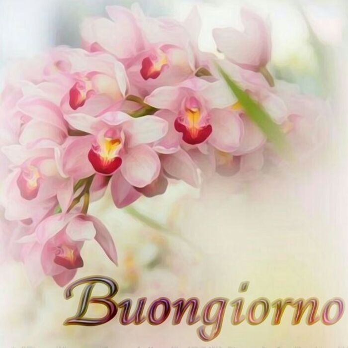 Immagini belle di Buona Giornata