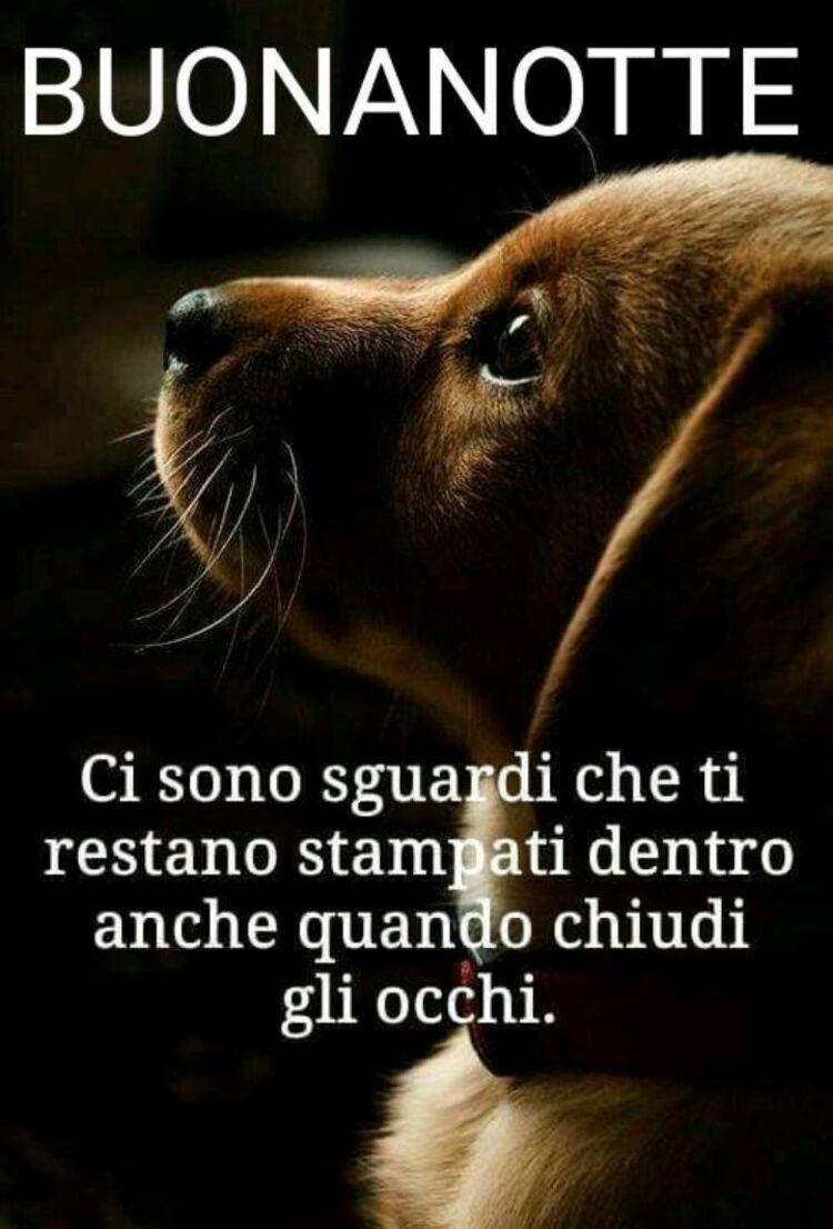 "Ci sono sguardi che ti restano stampati dentro, anche quando chiudi gli occhi. Buona Notte"