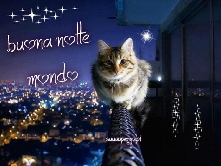 "Buona Notte Mondo" - Suuuupergulp