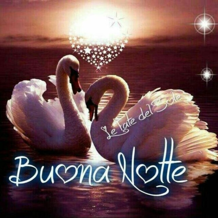 Buona Notte con dei bellissimi cigni