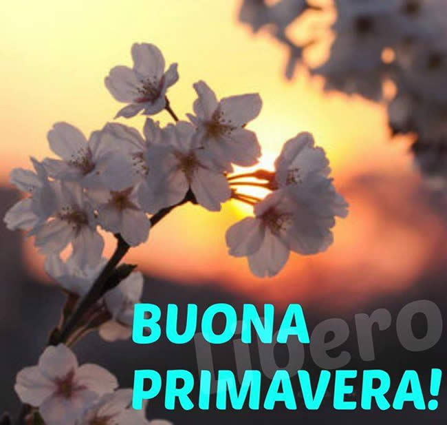 "Buona Primavera!"