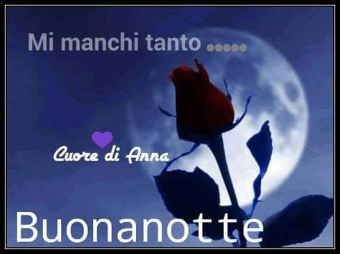 "Mi Manchi Tanto... Buonanotte Amore"