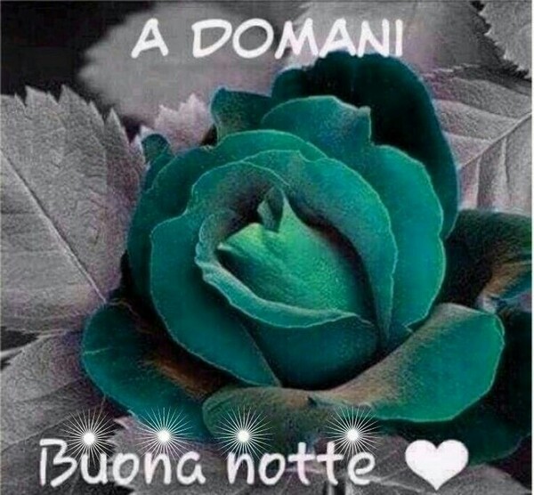 "A Domani, Buona Notte"