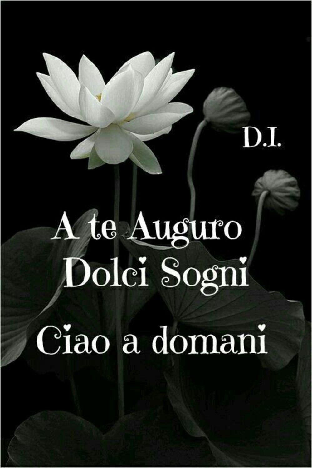 "A Te auguro Dolci Sogni. Ciao a Domani"