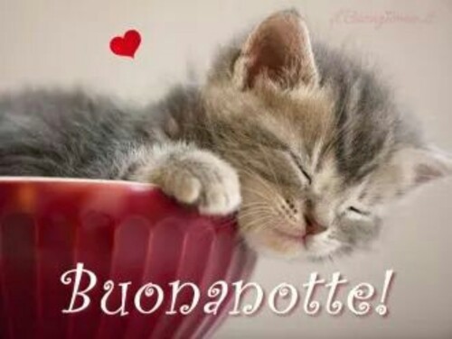 Buonanotte con i cuccioli