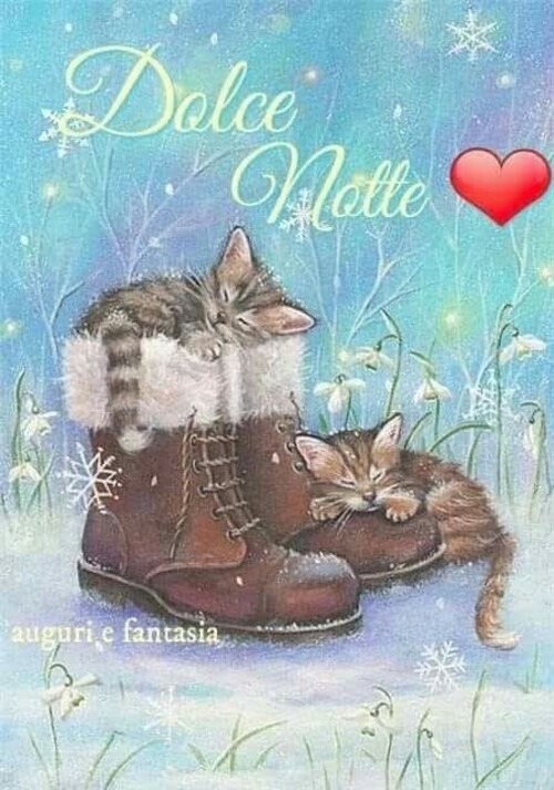 "Dolce Notte" - immagini con i gatti