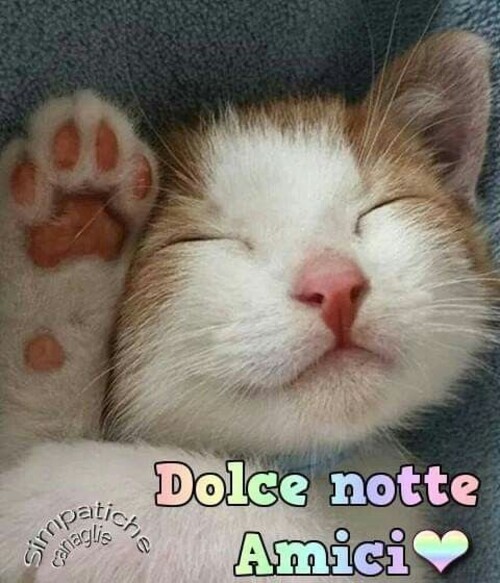 Buonanotte con i cuccioli