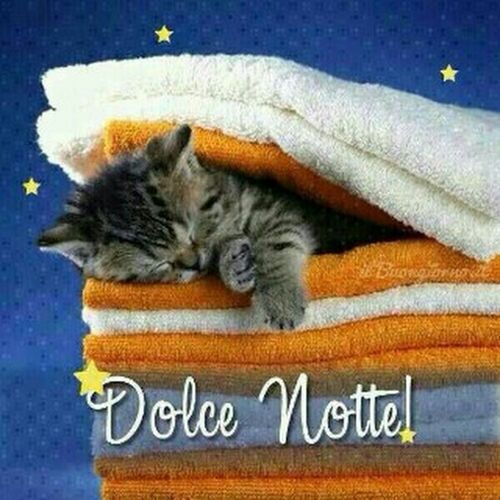 Belle immagini - "Dolce Notte!"