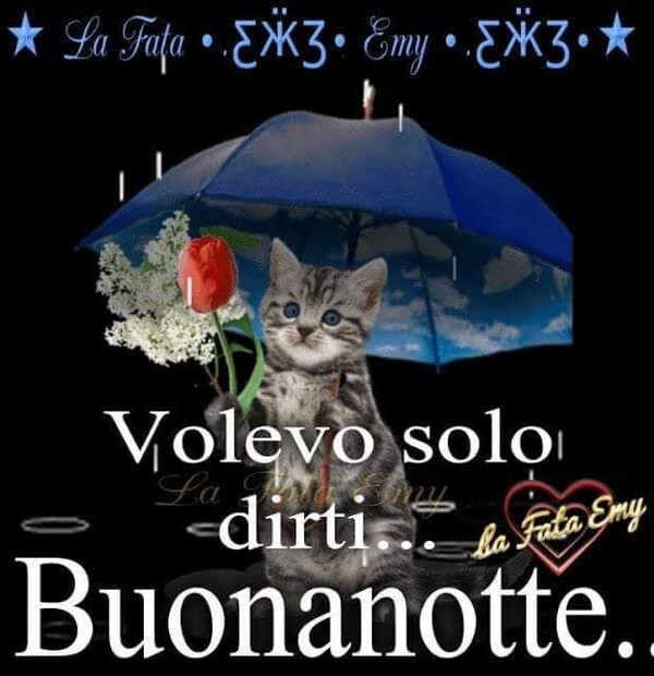 Buonanotte con la pioggia - "Volevo solo dirti... Buonanotte..."