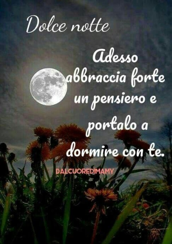 "Dolce Notte. Adesso abbraccia forte un pensiero e portalo a dormire con te."