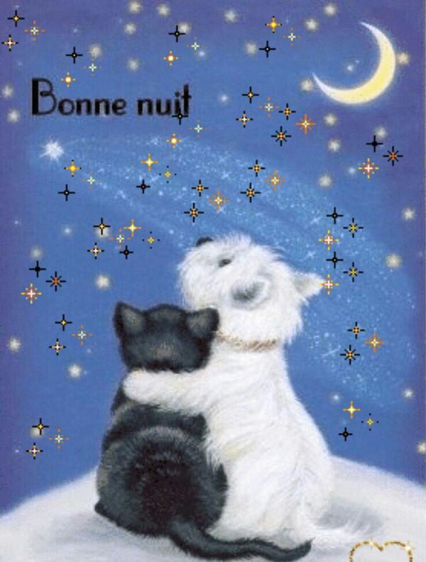 "Bonne Nuit" - Buonanotte in francese con l'abbraccio