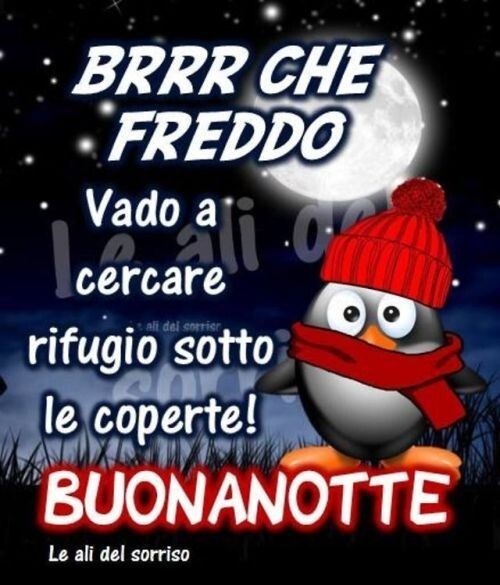 "Brrr che freddo..... BUONANOTTE"