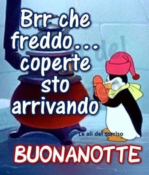 "Brrr che freddo... coperte sto arrivando! BUONANOTTE"