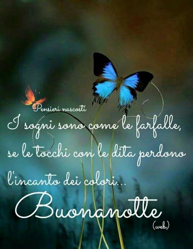 "I sogni sono come le farfalle, se le tocchi con le dita perdono l'incanto dei colori... Buona Notte"