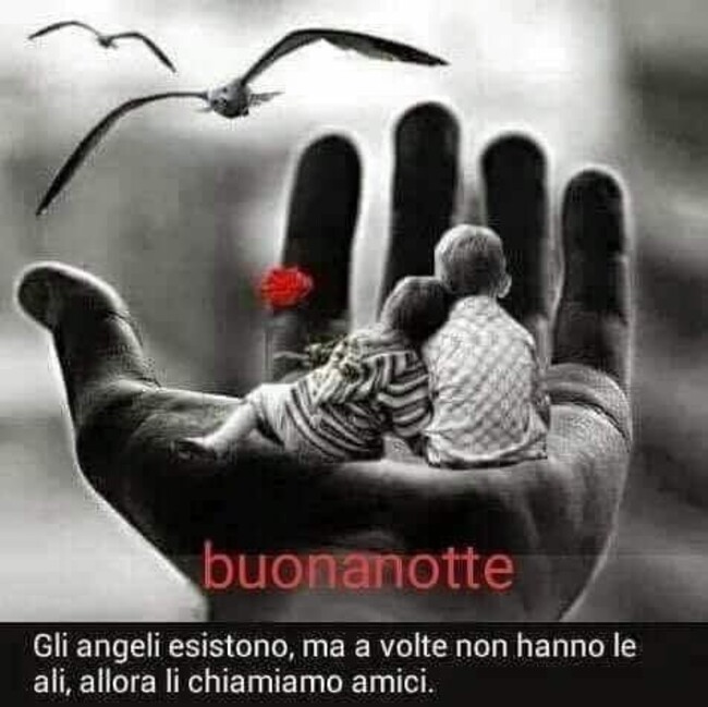 "Buonanotte. Gli angeli esistono ma a volte non hanno le ali, allora li chiamiamo amici."