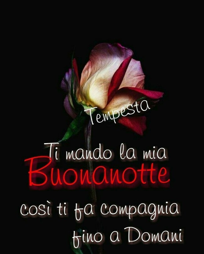 Tempesta - "Ti mando la mia Buonanotte, così ti fa compagnia fino a domani"