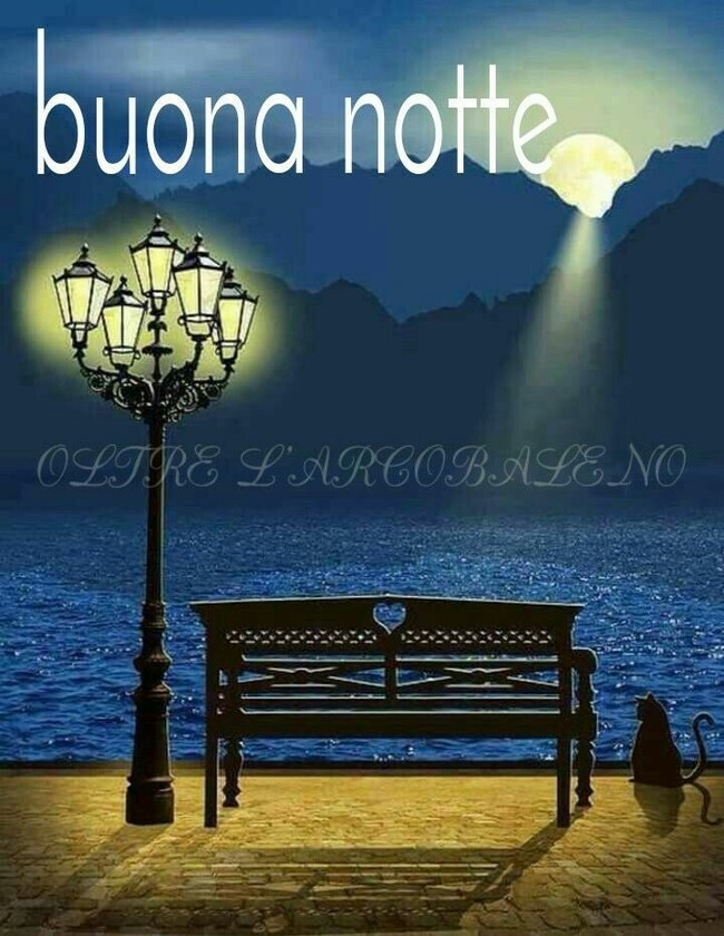 "buona notte"