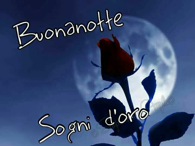 Buonanotte e Sogni d'Oro con la Luna e una rosa rossa