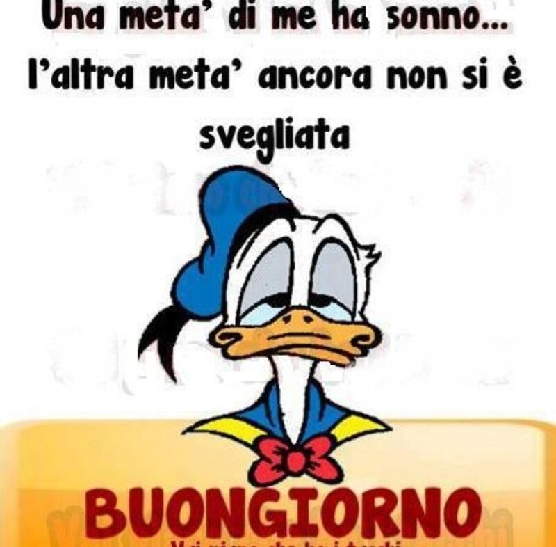 "Una metà di me ha sonno, l'altra metà ancora non si è svegliata. BUONGIORNO" - immagini divertenti