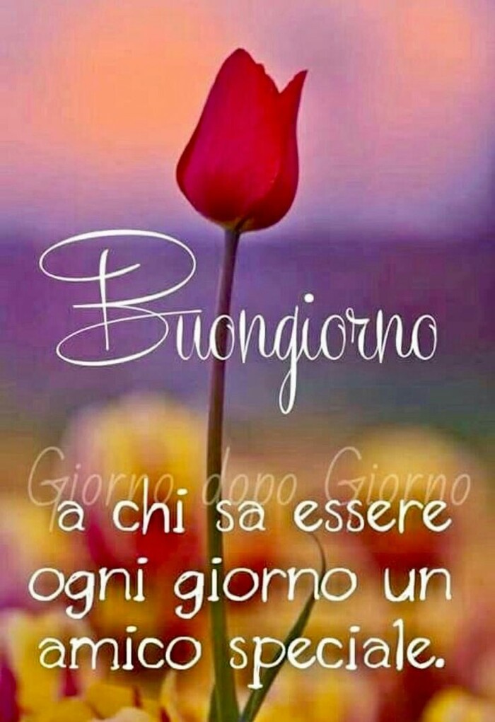 "A chi sa essere ogni giorno un amico Speciale, Buongiorno"