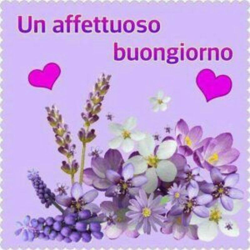 Buongiorno Con I Fiori Le Immagini Piu Carine Top10immagini It