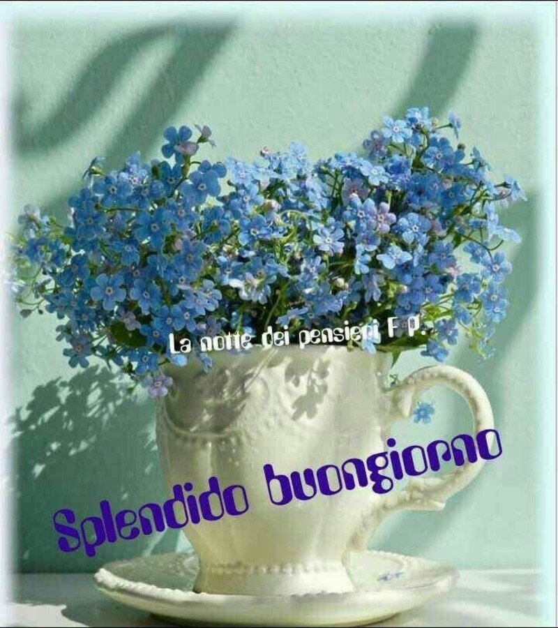 Buongiorno Con I Fiori Le Immagini Piu Carine Top10immagini It