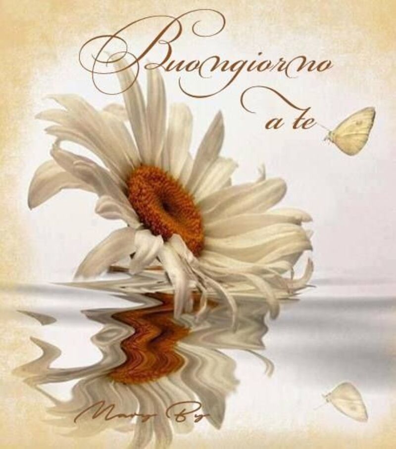 "Buongiorno a Te" - Buongiorno con i fiori