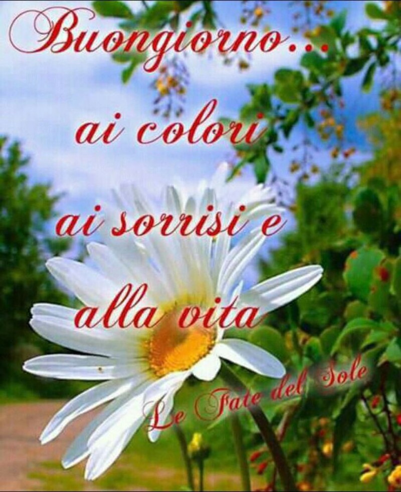 "Buona Giornata ai colori, ai sorrisi e alla vita..."