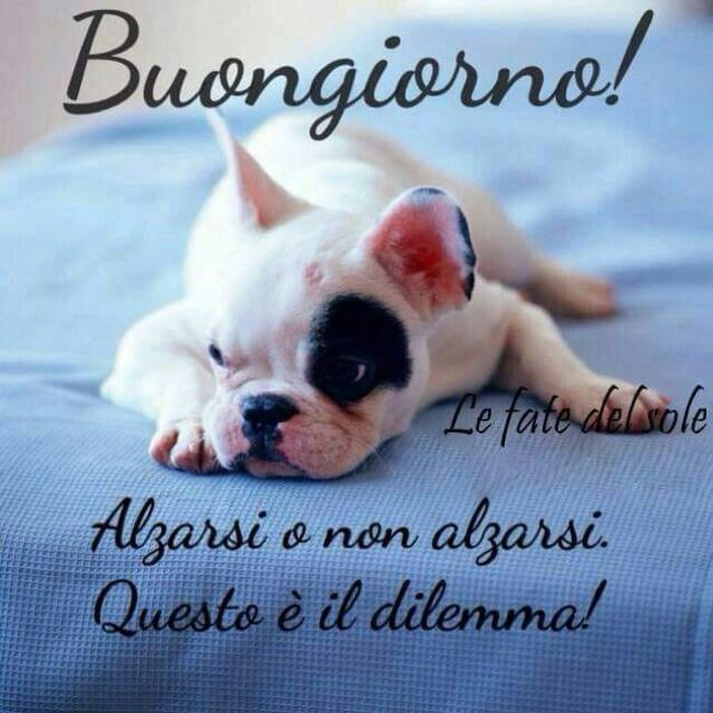 Buongiorno divertente - "Buongiorno! Alzarsi o non alzarsi, questo è il dilemma!"