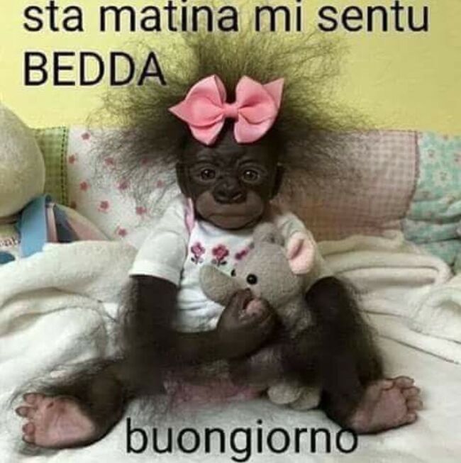 "Sta matina mi sentu bedda... Buongiorno" - immagini da ridere