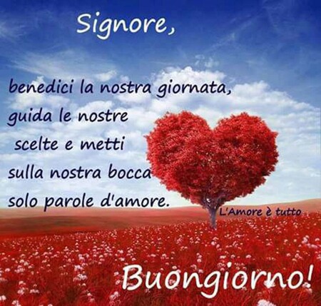 Buongiorno religioso - "Signore, benedici la nostra giornata, guida le nostre scelte e metti sulla nostra bocca solo parole d'amore. Buongiorno!"